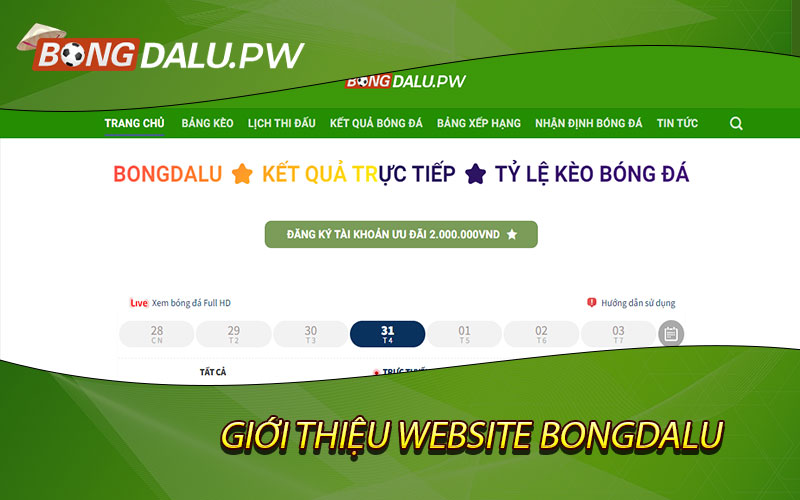 Giới Thiệu Website Bongdalu