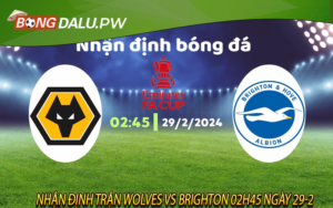 Nhận định trận Wolves vs Brighton 02h45 ngày 29-2