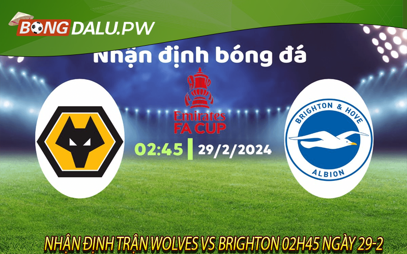 Nhận định trận Wolves vs Brighton 02h45 ngày 29-2