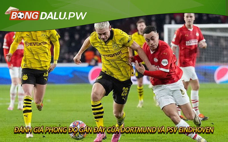 Đánh giá phong độ gần đây của Dortmund và PSV Eindhoven