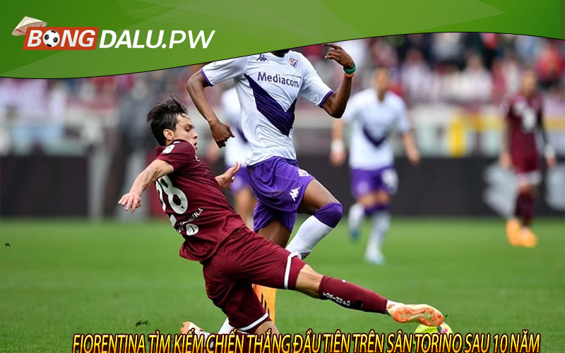Fiorentina tìm kiếm chiến thắng đầu tiên trên sân Torino sau 10 năm