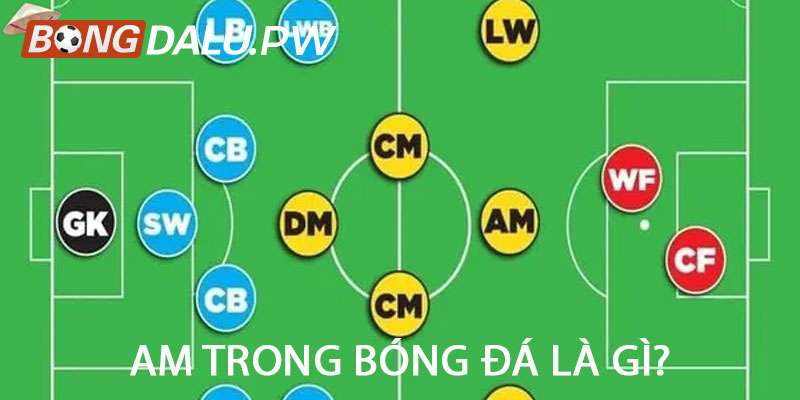 AM trong bóng đá là gì?