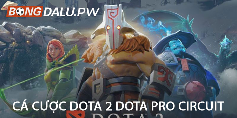 Cá cược Dota 2 Dota Pro Circuit