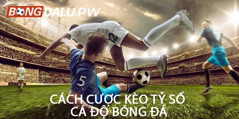 Cách Cược Kèo Tỷ Số Cá Độ Bóng Đá
