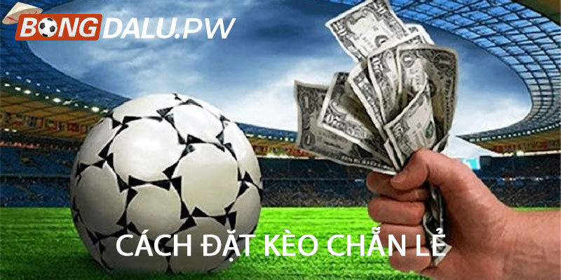 Cách Đặt Kèo Chẵn Lẻ