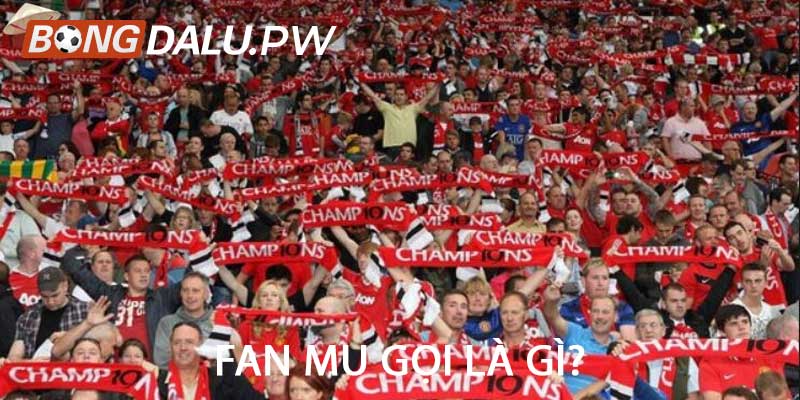 Fan MU gọi là gì?