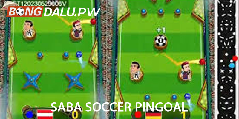 Saba Soccer Pingoal