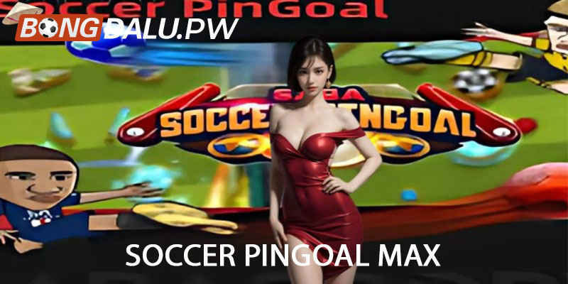Soccer Pingoal Max
