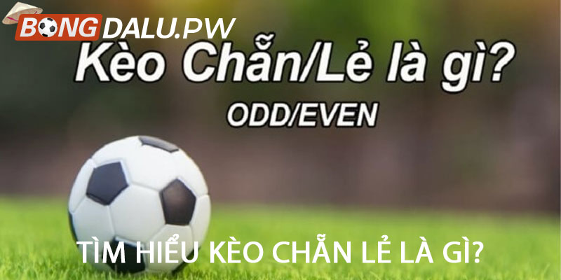 Tìm hiểu kèo chẵn lẻ là gì?