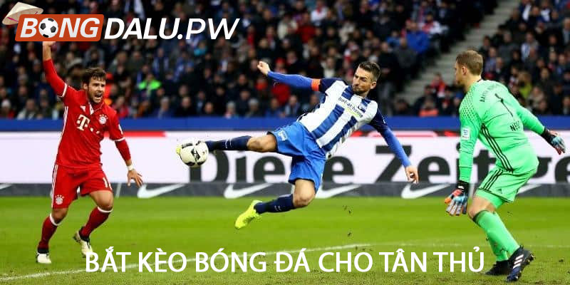 Bắt kèo bóng đá cho tân thủ