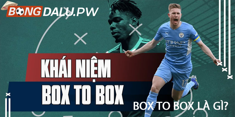 Box To Box Là Gì?