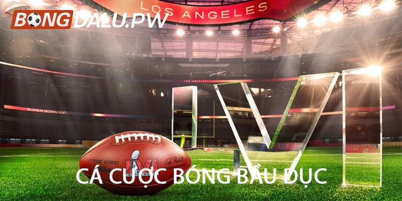 Cá cược bóng bầu dục