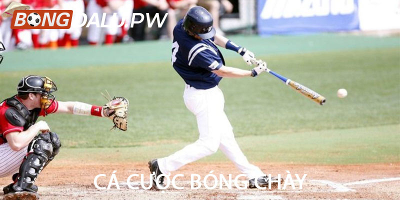 Cá cược bóng chày