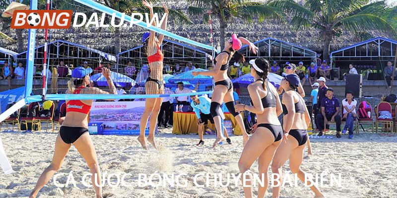 Cá cược bóng chuyền bãi biển