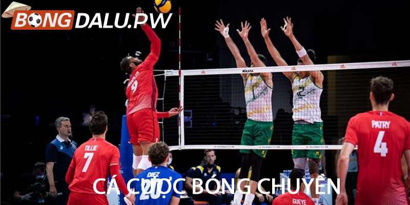 Cá cược bóng chuyền