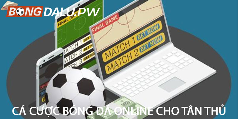 Cá cược bóng đá online cho tân thủ