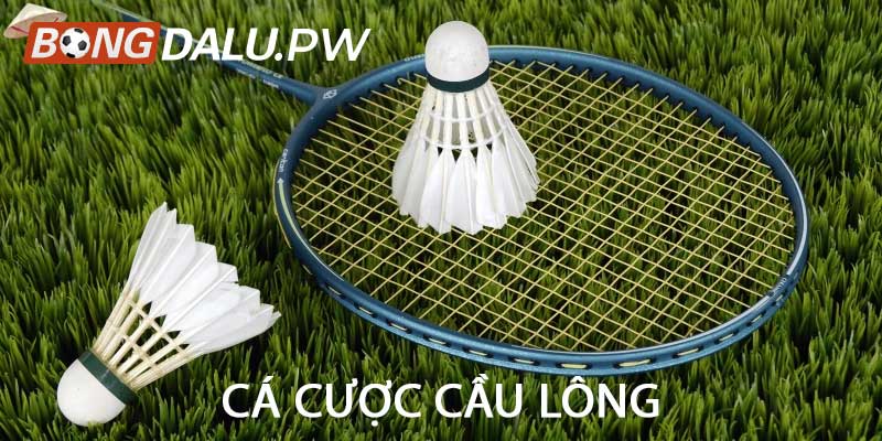 Cá cược cầu lông