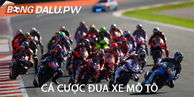 Cá cược đua xe mô tô