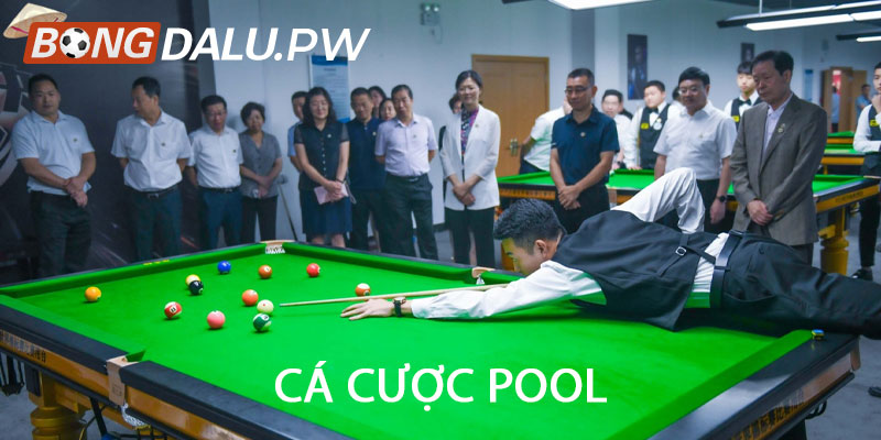 Cá cược pool
