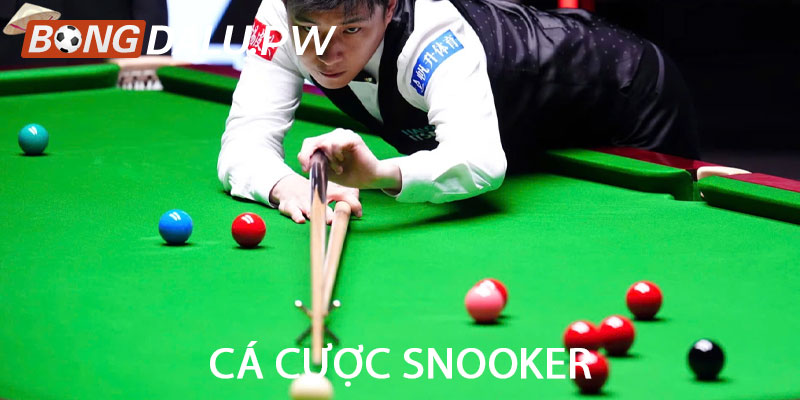 Cá cược snooker
