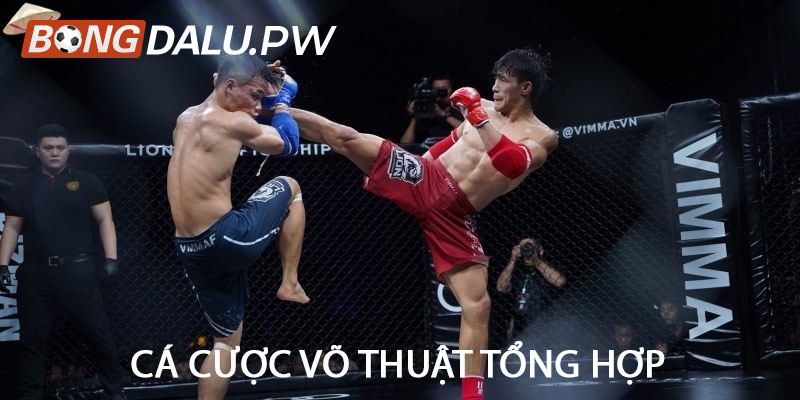 Cá cược võ thuật tổng hợp