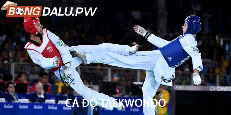 Cá độ Taekwondo
