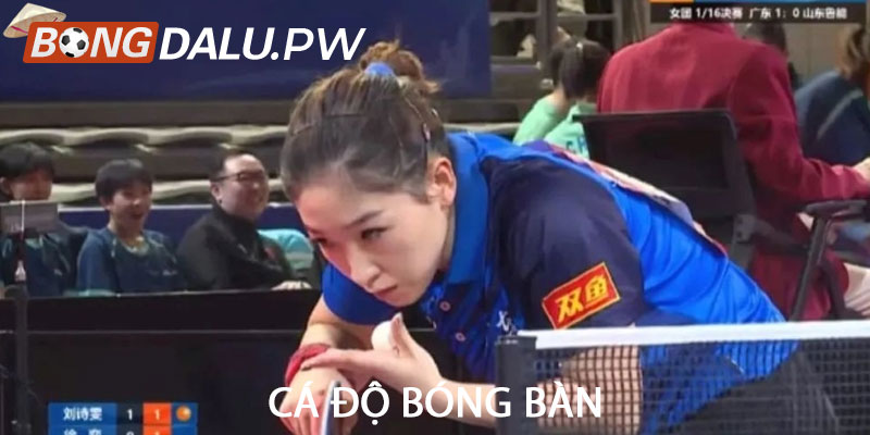 Cá độ bóng bàn