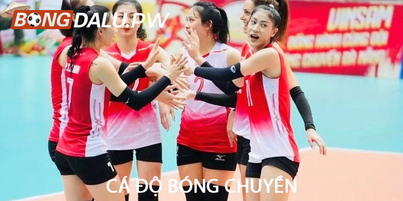 Cá độ bóng chuyền