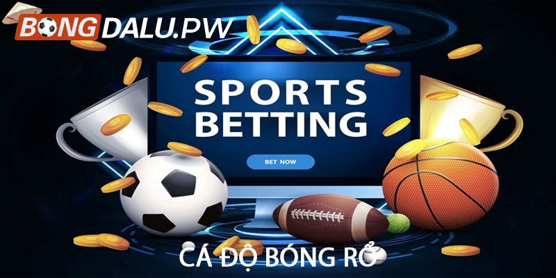 Cá độ bóng rổ