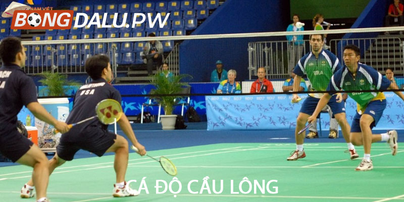 Cá độ cầu lông