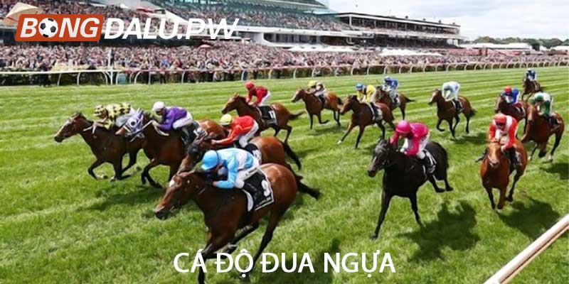 Cá độ đua ngựa