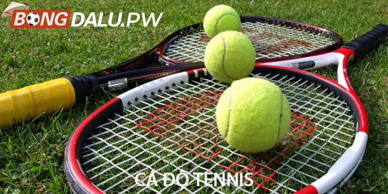 Cá độ tennis