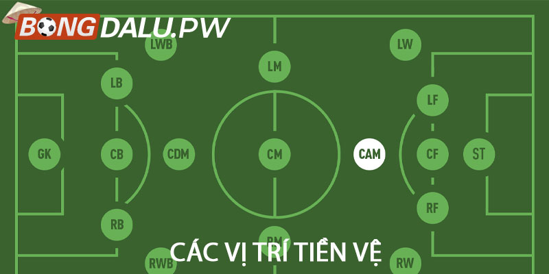 Các vị trí tiền vệ