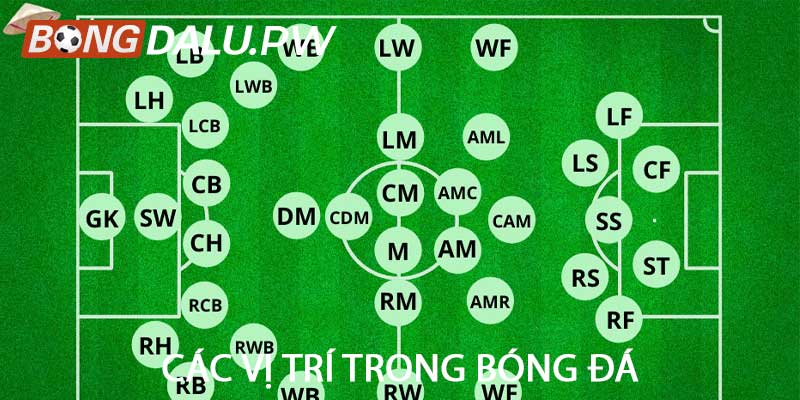 Các vị trí trong bóng đá