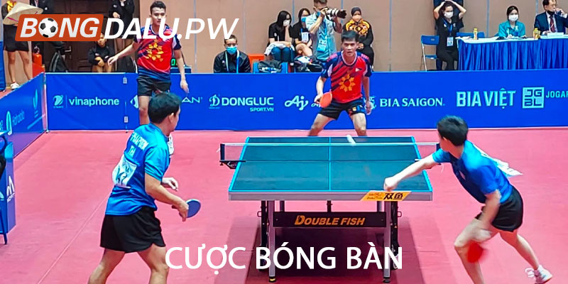 Cược bóng bàn