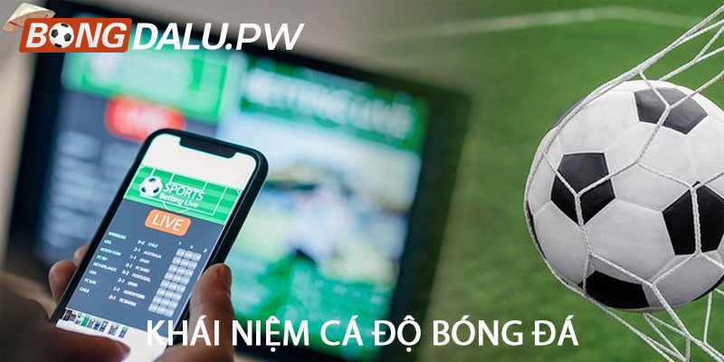 Khái niệm cá độ bóng đá