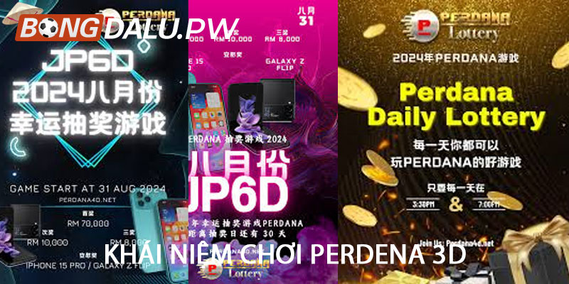 Khái niệm chơi Perdena 3D