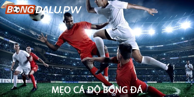 Mẹo cá độ bóng đá