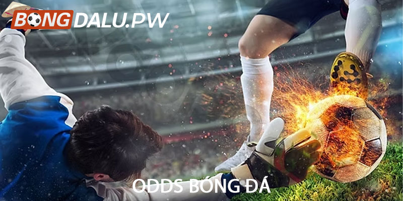 Odds bóng đá