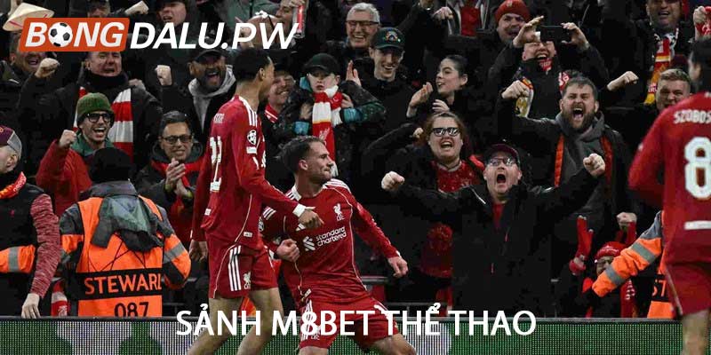 Sảnh M8BET thể thao