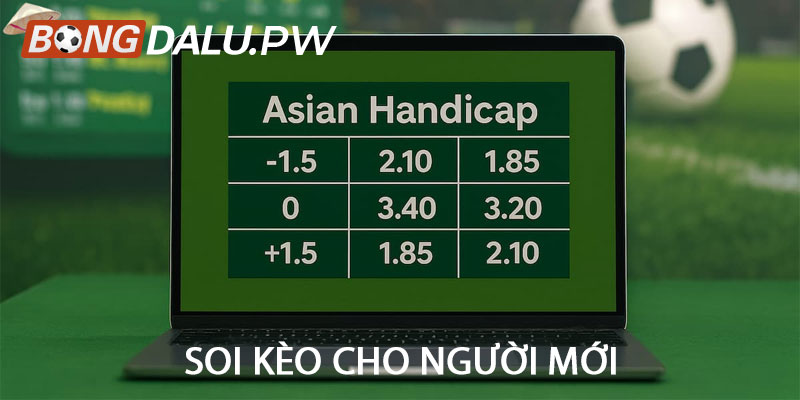 Soi kèo cho người mới