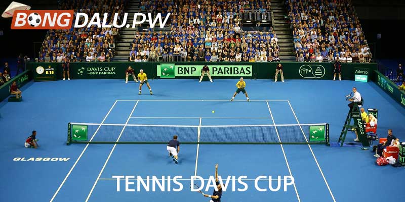 Tennis Davis Cup