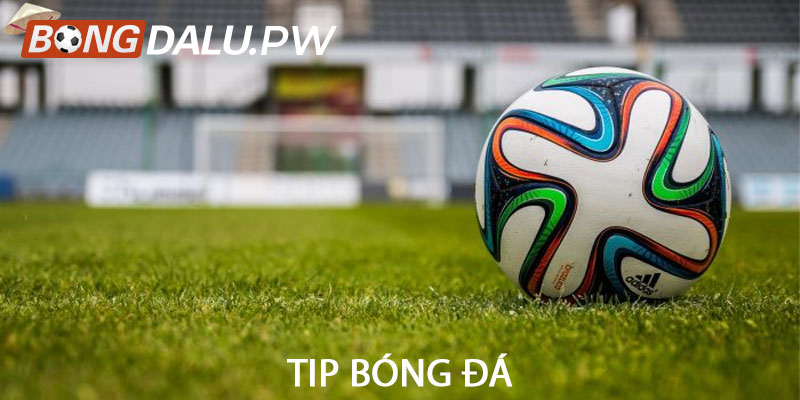 Tip bóng đá