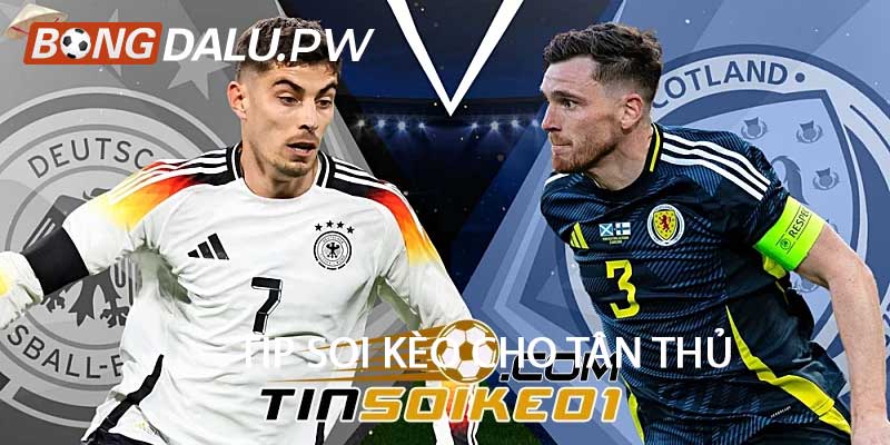 Tip soi kèo cho tân thủ