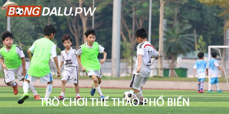 Trò chơi thể thao phổ biến