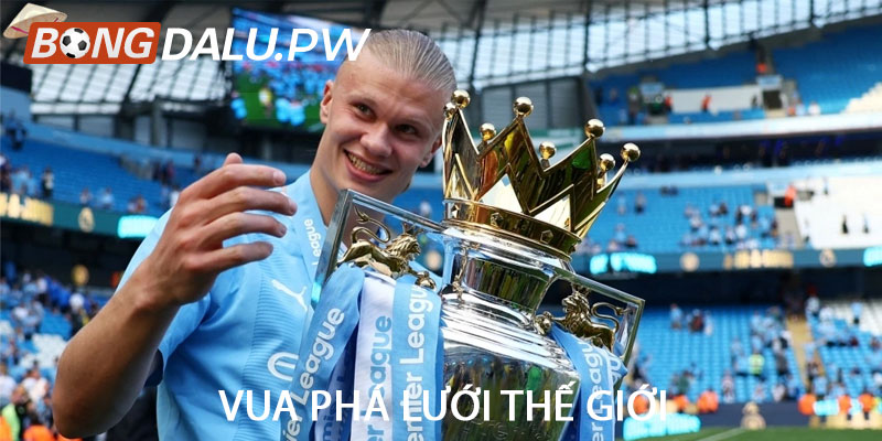 Vua phá lưới thế giới