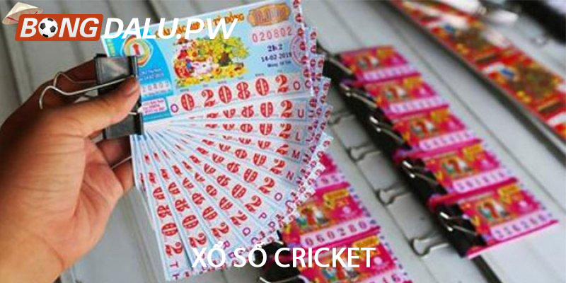 Xổ số Cricket