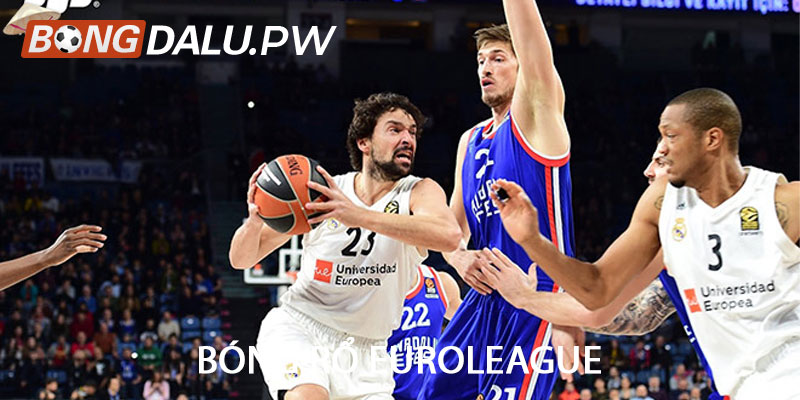 bóng rổ EuroLeague