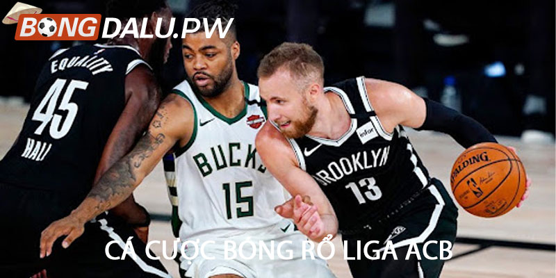 cá cược bóng rổ Liga ACB